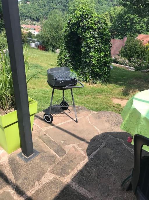 Gite Des Renards La Broque Exterior foto